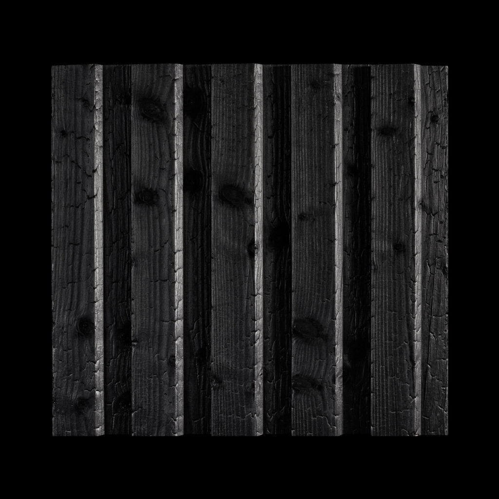 Обгорено дърво Burnt Wood A5