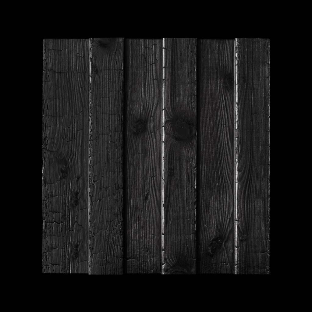 Обгорено дърво Burnt Wood A3