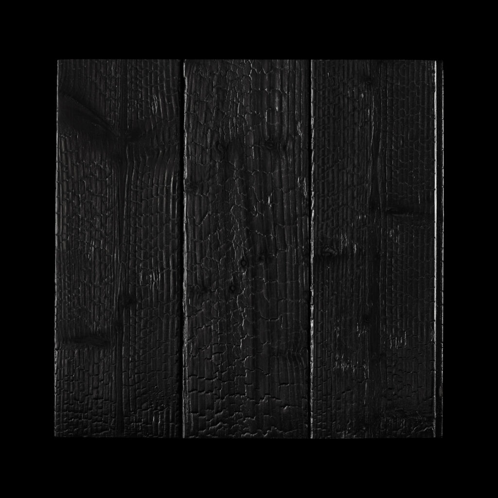 Обгорено дърво Burnt Wood A2