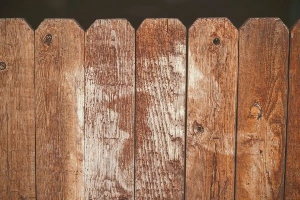 1. Construcție gard lemn - ce rol are gardul și din ce materiale poate fi construit(1)