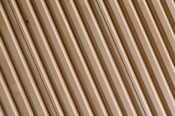 Riflaj tip V pin radiata R13